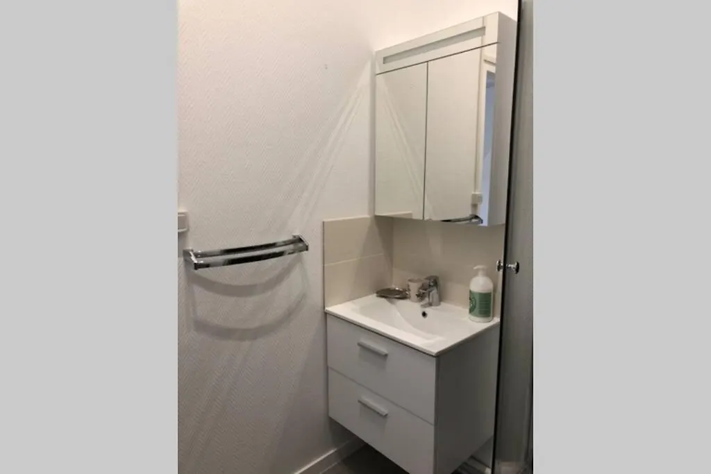 Villa Camelia Quartier Thermal Grand Studio Au Calme Vichy 0*,